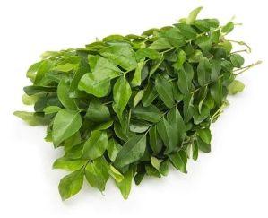 Natural Curry Leaf