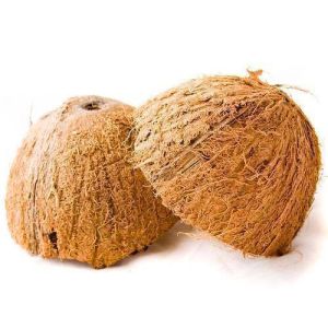 Raw Coconut Shell