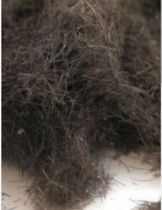 Human Hair