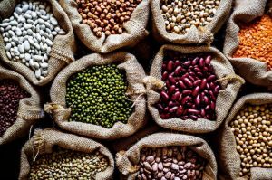 Pulses and grains