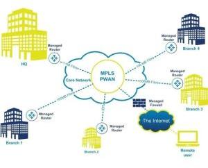 MPLS Networking Services