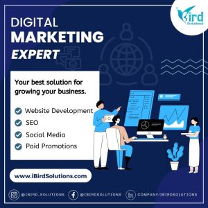 Digital Marketing Agency