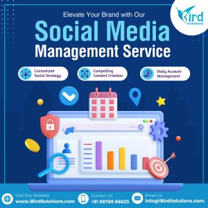 social media management services