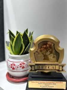 Custom MDF Trophy