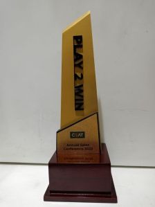 Play 2 win custom wooden trophy