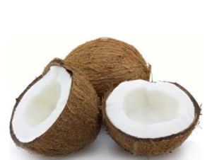 Brown Coconut