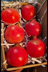 pomegranate fruit