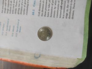 2 Rupees Coin