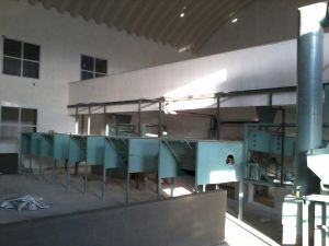 Seed Sorting Machine