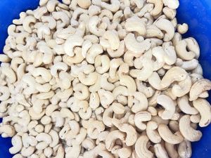 cashew nuts