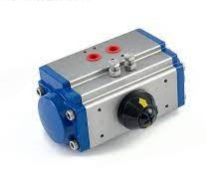 Pneumatic Actuator