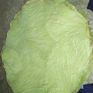 10 Inch Siali Leaf Plates