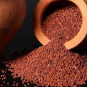 ragi millets