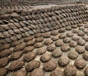 Dried Cow Dung Cakes