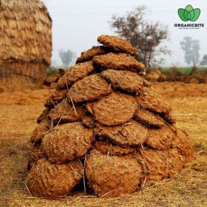 cow dung khad