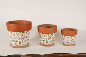 Kids Jungle Print Terracotta Clay Pot