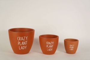 MH RAW PR 468 Terracotta Clay Pot