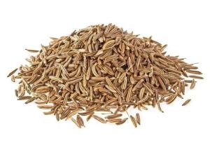 Natural Cumin Seeds