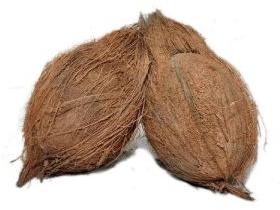 Raw Semi Husked Coconut