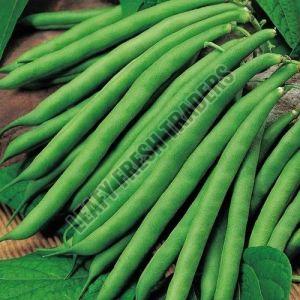 A Grade Green Beans