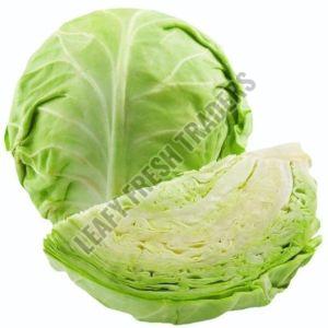 Fresh Cabbage