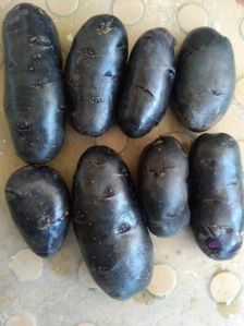 Black Potato Seeds