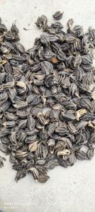 Ajwain Seeds