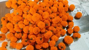 Marigold Fresh Flower