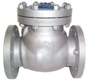 Ss Non Return Valve