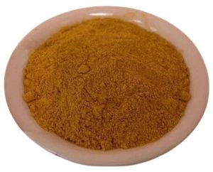 Dehydrated Tamarind Powder