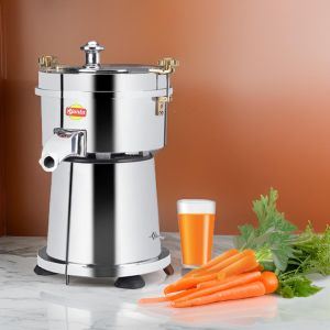 small carrot juicer machine