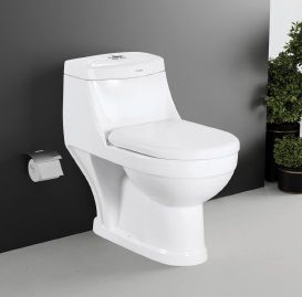 Vector One Piece Toilet Closet