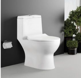 Vibe One Piece Toilet Closet