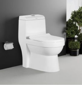 Vision One Piece Toilet Closet