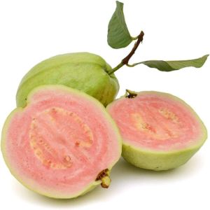 Fresh Pink Guava