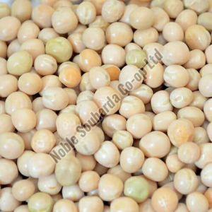 White Pea Beans