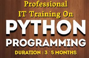 Python programming Training