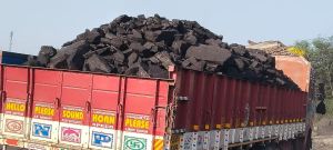 Steam Coal