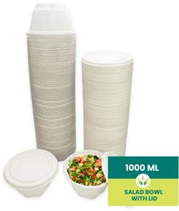 Bagasse Disposable bowls