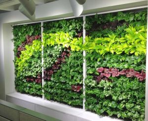 vertical garden