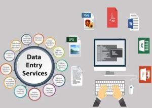 Accounting Data Entry Service