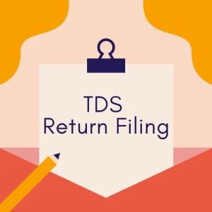 TDS Return Service