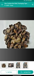 Cashew Shell