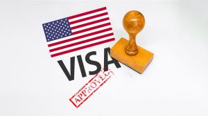 Basic Visa Service