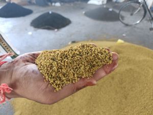 Fenugreek Seeds