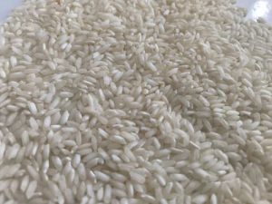 Fully Polished Non Basmati Rice