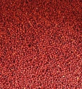 Natural Ragi Seeds