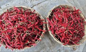 S17 Teja Dry Red Chilli