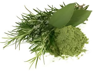 Rosemary Powder