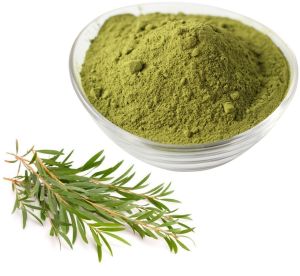 Tea Tree Powder